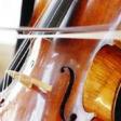 Profilbild von cellonessa