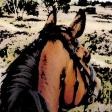Profilbild von Pferdefrauen