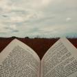 Profilbild von Evelyn-book