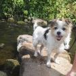 Profilbild von Alice-1205