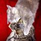 Profilbild von 