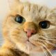 Profilbild von 