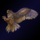 Profilbild von Dark-Owl