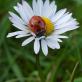 Profilbild von 
