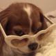 Profilbild von lulu2010114