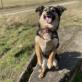 Profilbild von 