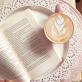 Profilbild von aboutmyfavbooks