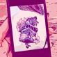 Profilbild von pirepa_reads