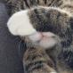 Profilbild von lena_110200