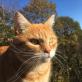 Profilbild von 