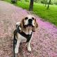 Profilbild von Nina100992