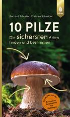 Cover-Bild 10 Pilze
