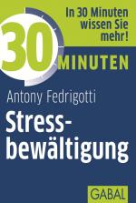Cover-Bild 30 Minuten Stressbewältigung