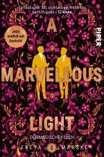 Cover-Bild A Marvellous Light