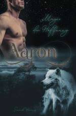 Cover-Bild Aaron – Magie der Hoffnung