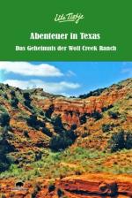 Cover-Bild Abenteuer in Texas - Das Geheimnis der Wolf Creek Ranch