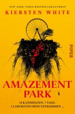 Cover-Bild Amazement Park