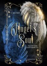 Cover-Bild Angel's Soul