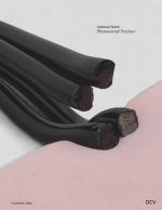 Cover-Bild Antonia Hirsch – Phenomenal Fracture
