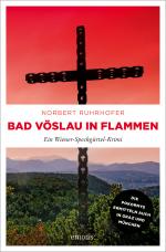 Cover-Bild Bad Vöslau in Flammen