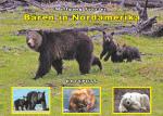 Cover-Bild Bären in Nordamerika