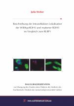 Cover-Bild Beschreibung der intrazellulären Lokalisation der Wildtyp-RDH5 und mutierter RDH5 im Vergleich zum RLBP1