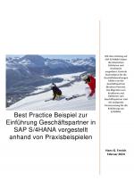 Cover-Bild Best Practice Beispiel zur Einführung Geschäftspartner in SAP S/4HANA vorgestellt anhand von Praxisbeispielen