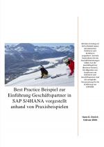 Cover-Bild Best Practice Beispiel zur Einführung Geschäftspartner in SAP S/4HANA vorgestellt anhand von Praxisbeispielen