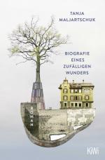 Cover-Bild Biografie eines zufälligen Wunders