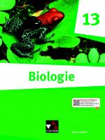 Cover-Bild Biologie – Bayern Sek II / Biologie Bayern 13