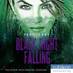 Cover-Bild Black Night Falling
