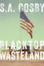 Cover-Bild Blacktop Wasteland (eBook)