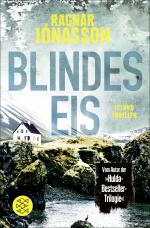 Cover-Bild Blindes Eis