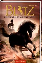Cover-Bild Blitz (Bd. 3)