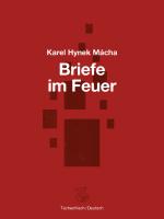 Cover-Bild Briefe im Feuer
