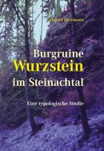 Cover-Bild Burgruine Wurzstein im Steinachtal