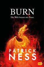Cover-Bild Burn – Die Welt brennt wie Feuer