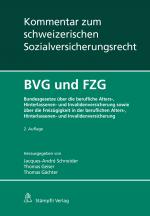 Cover-Bild BVG und FZG