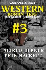 Cover-Bild Cassiopeiapress Western Roman Trio #3: Drei Western in einem Band