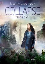 Cover-Bild Collapse