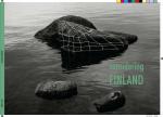 Cover-Bild Considering Finland