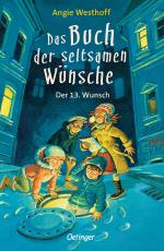 Cover-Bild Das Buch der seltsamen Wünsche 2. Der 13. Wunsch