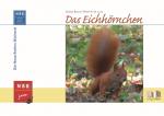 Cover-Bild Das Eichhörnchen