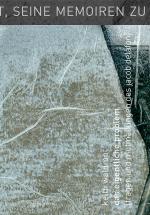 Cover-Bild das eigentliche problem