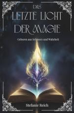 Cover-Bild Das letzte Licht der Magie - Band 1