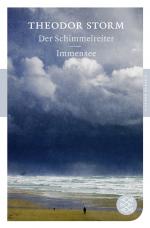 Cover-Bild Der Schimmelreiter / Immensee