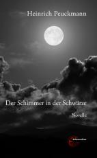 Cover-Bild Der Schimmer in der Schwärze