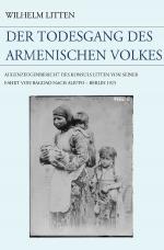 Cover-Bild Der Todesgang des armenischen Volkes