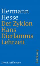 Cover-Bild Der Zyklon und Hans Dierlamms Lehrzeit