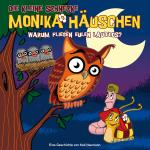 Cover-Bild Die kleine Schnecke Monika Häuschen - CD / 19: Warum fliegen Eulen lautlos?